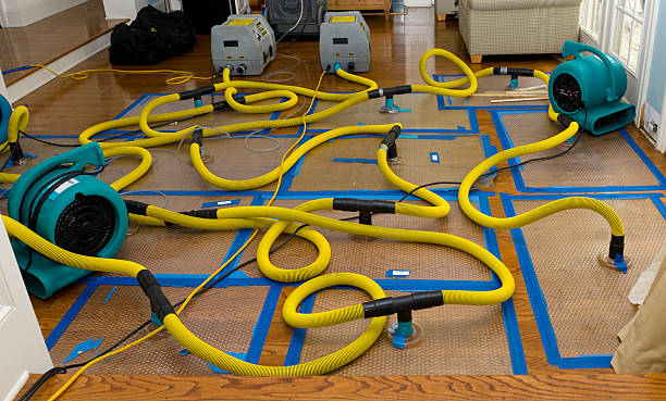 Professional Crawl Space Water Removal technician working in Enterprise, UT